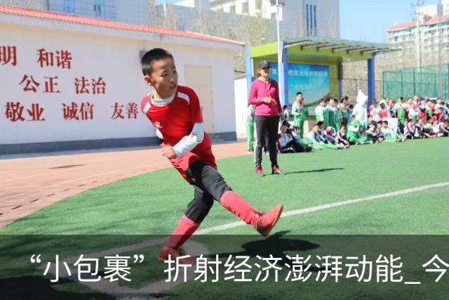 “小包裹”折射经济澎湃动能 今年前8个月邮政行业寄递业务量稳步攀升